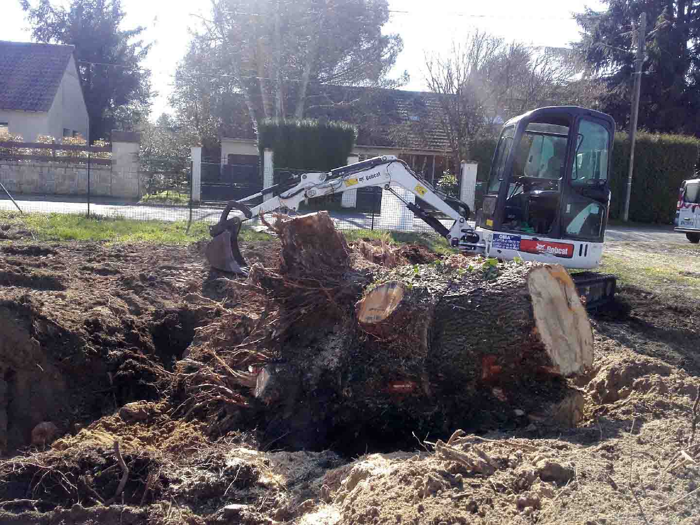 Retrait Souche en Essonne (91)